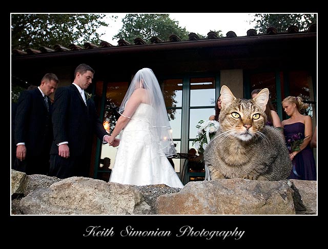 Wedding Ceremony