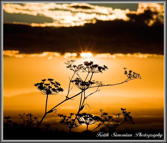 goldensunset.jpg