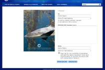 This photo of a leopard shark was used by the Monterey Bay Aquarium for one of their e-cards