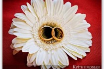 Wedding rings on white flower photo