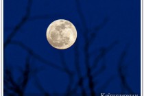 Worm Moon - full moon