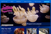 Jellyfish exhibit at the Monterey Bay Aqaurium
