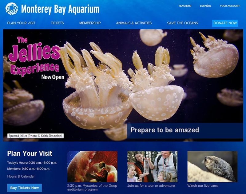 Monterey Bay Aquarium website homepage