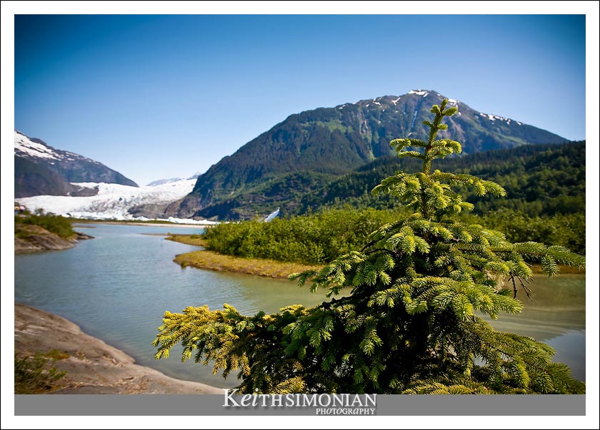 The Mendenhall glacier - Juneau Alaska