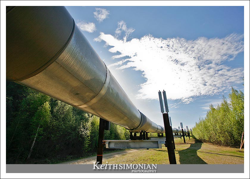 Alaska pipeline Fairbanks Alaska The 800 mile long trans Alaska pipeline runs through Fairbanks, Alaska