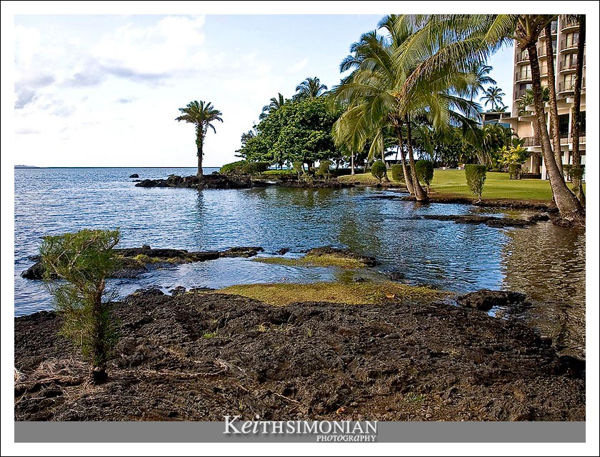 The Pacific Ocean - Palm Trees - Kona
