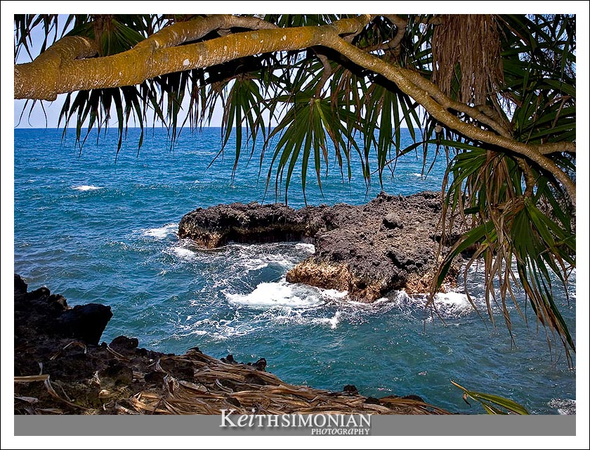 This view of the Pacific ocean is just part one of the amazing sights at the Botanical Gardens on the Big Island (Kona) of Hawaii.