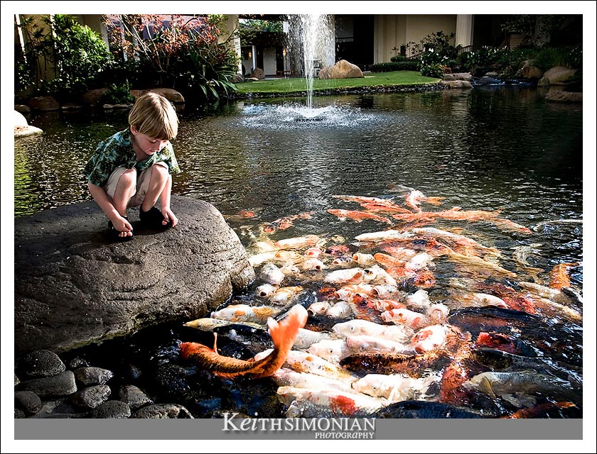 14-May-2005: Maui, Hawaii. The Koi pond at the Maui Prince Hote.