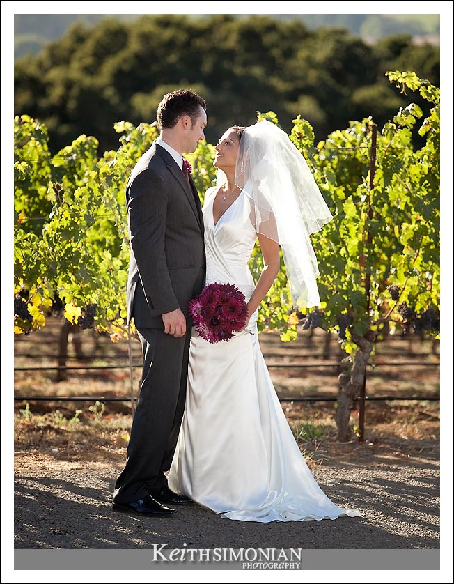 World famous napa valley vineyards are the background the for the bride and grooms portrait