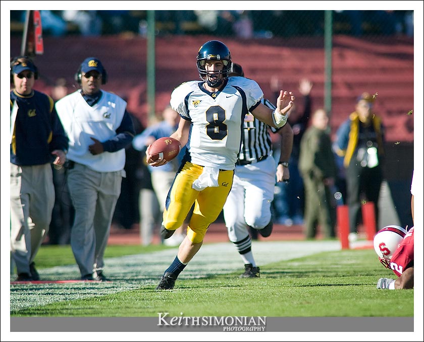 Aaron Rodgers of the California Golden Bears scrambles down the sideline against Stanford in the Big Game - 2003 Palo Alto, CA