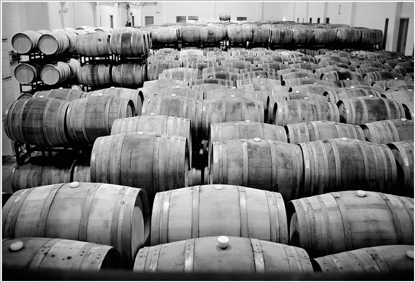 Black and white photo of wine barrels