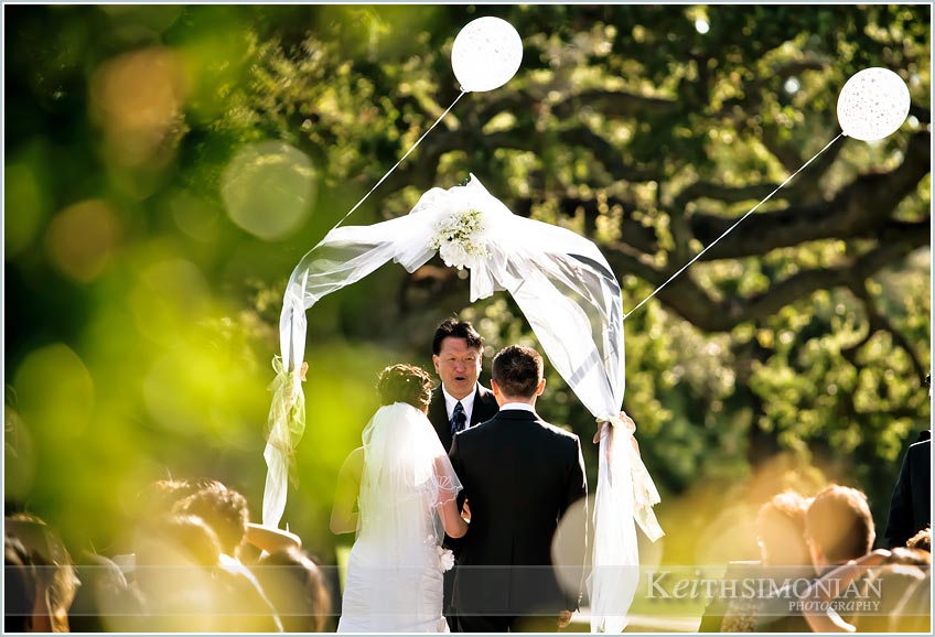 bride, groom guests and ballons