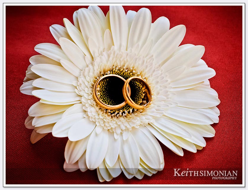 Wedding rings on white flower photo
