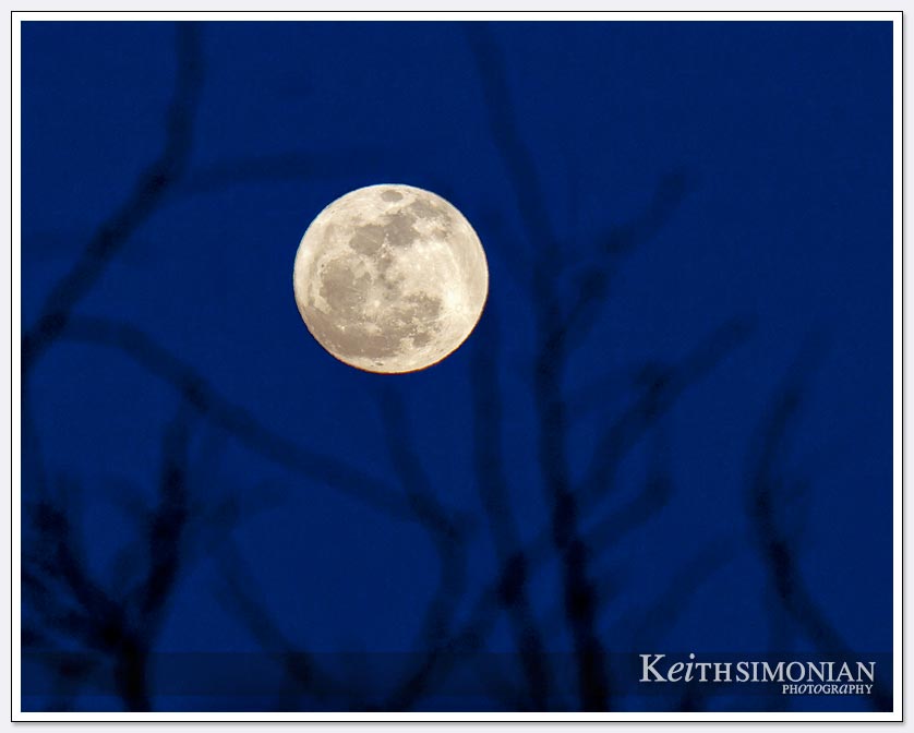 Worm Moon - full moon