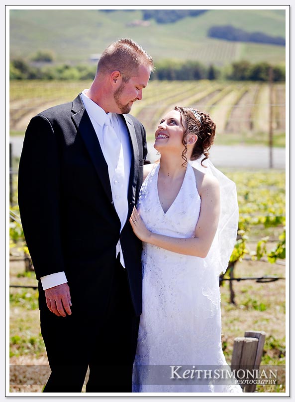 Napa valley wedding photo in vineyards