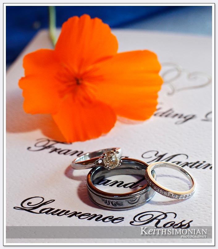 Bride and groom's wedding rings