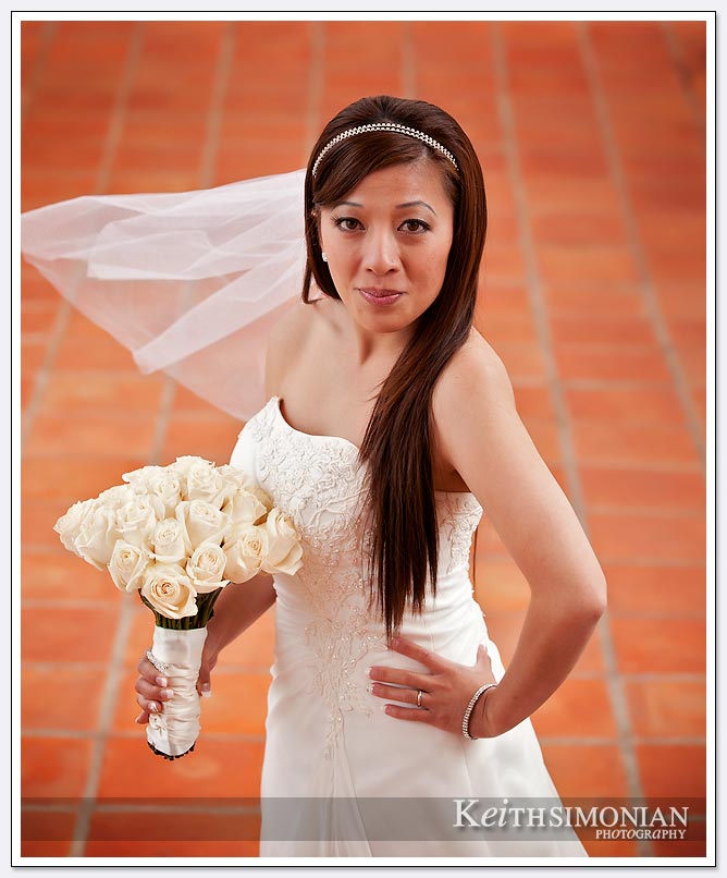 Just married bride poses for bridal portrait