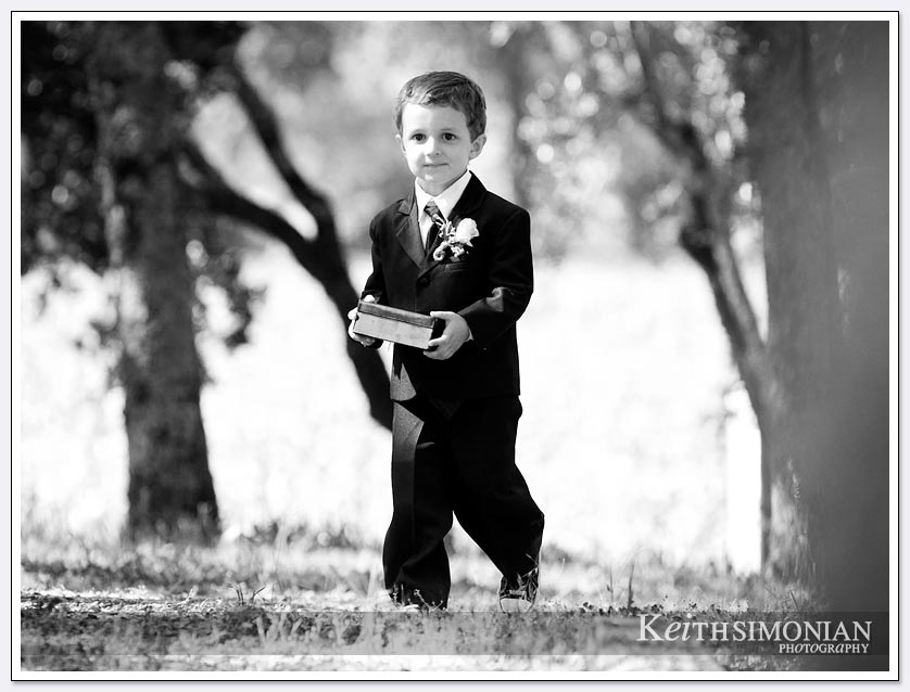 Napa Valley wedding at BR Cohn Winery with ring bearer walking into wedding ceremony