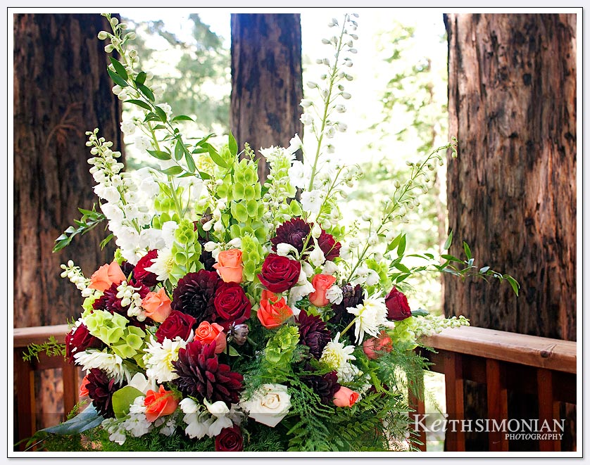 Wedding guests view the colorful flowers during the wedding ceremony at the Amphitheater of the Redwoods
