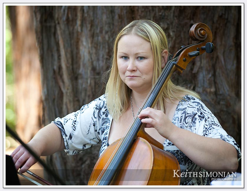 Music and tall redwood trees greet wedding ceremony guests at Pema Osel Ling