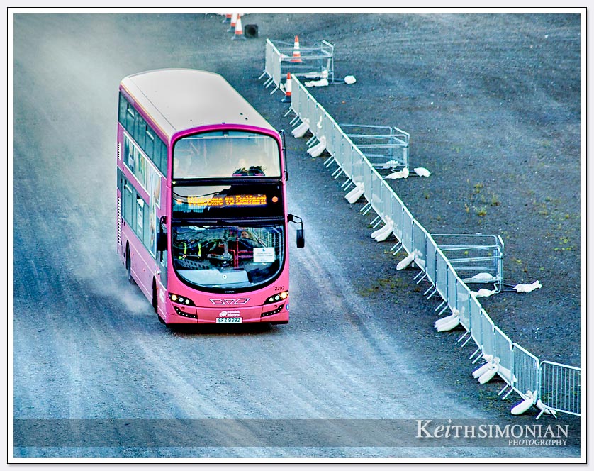One of the pink buses that took the Princess Line ship's passengers into The Lanyon Building of Queen's University