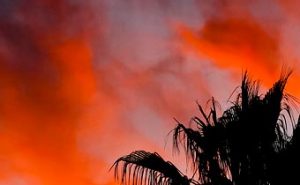 Read more about the article Sunset Eye Candy – Blazing Red sky with Palm Tree