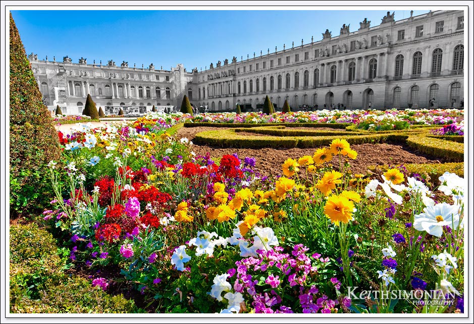 Flowers in the Garden of Versailles behind the Palace of Versailles just 8 miles from Paris