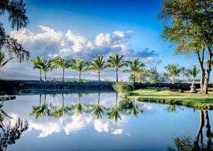 Palm trees reflect in the calm waters of Liliuokalani Park