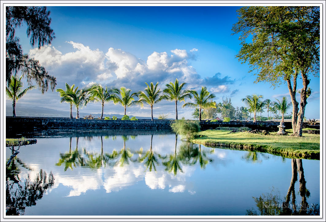 The cloudy blue sky and palm trees reflect in the pond of the Japanese Tea Garden in Liliuokalani Park on the big island of Hawaii - Hilo. 