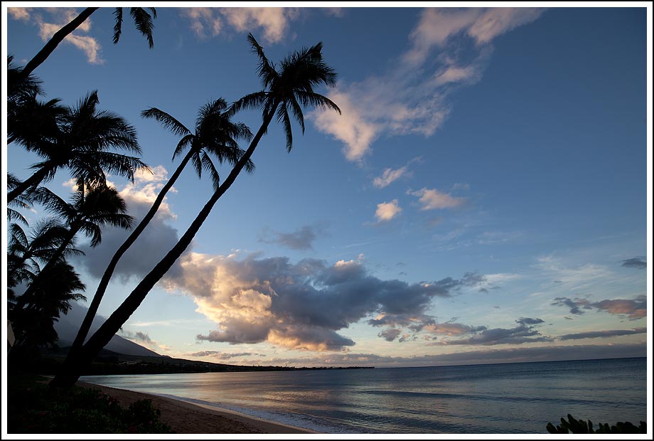Hawaii Maui Sunrise with Palm trees - Before Photo