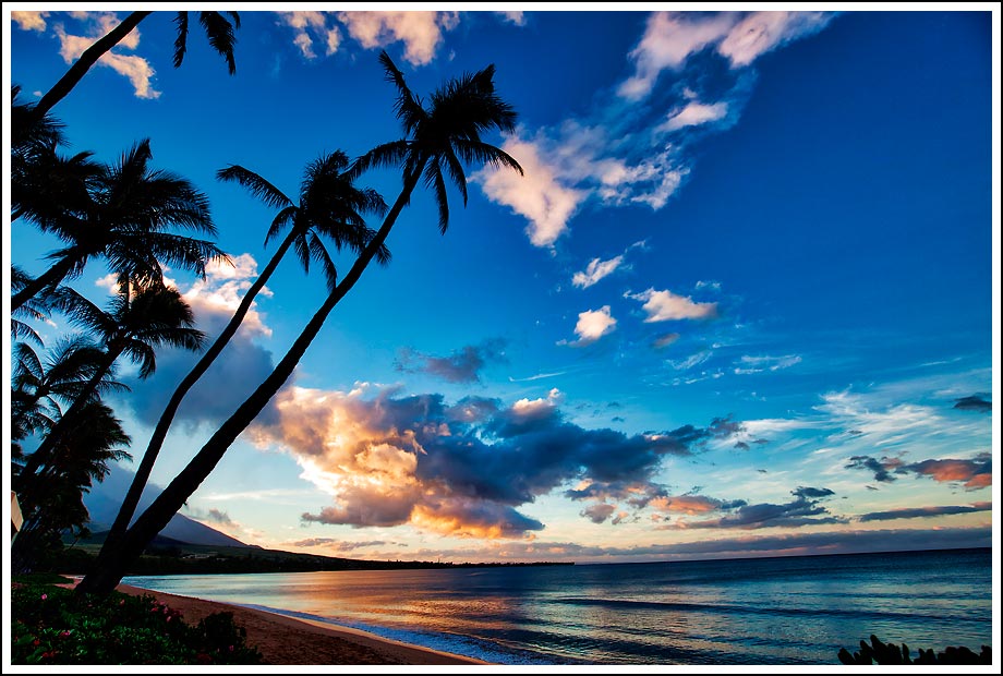 Hawaii Maui Sunrise with Palm trees - After Photo