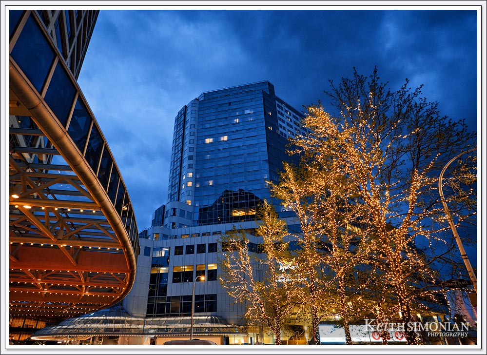 The lighted trees in front of the Fairmont Waterfront hotel gives this early May evening a Winter feel. 