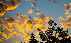 Read more about the article 2026 – Spring Forward – Fall Back